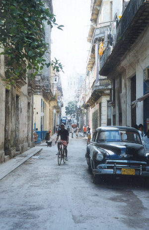 Man on Bike