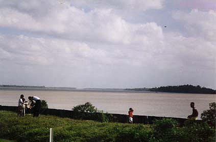 The Demerara River from its East Bank