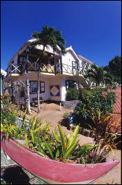 Scout's Place Hotel, Bar, Restaurant & Dive Center, Saba