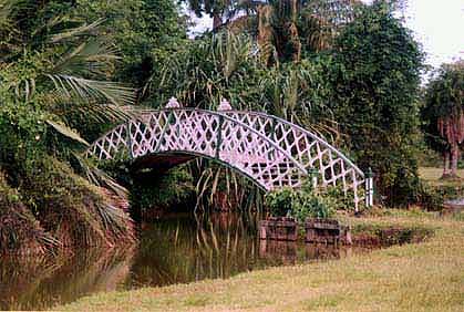 Kissing Bridge, Botanic Gardens, Georgetown