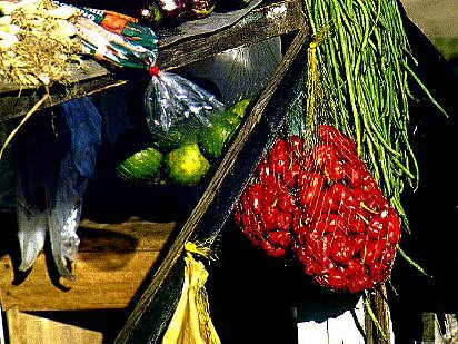 Vegetable Market