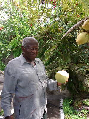 Owner - Antique Inn, Saba