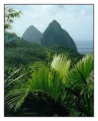 All-Inclusive Vacation Specials in St. Lucia